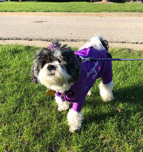 Canine Comfy Original Dog Suit (starting at $44.99)