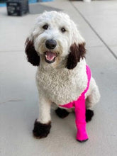 Load image into Gallery viewer, Canine Comfy Custom Sleeve