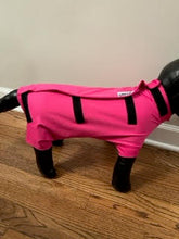 Load image into Gallery viewer, Female Pups Athletic Dog Suit (starting at $44.99)